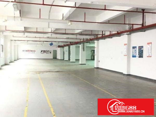 坪山区生物医疗产业基地三楼1000平厂房出租可拿补贴