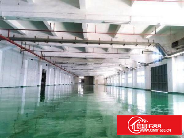 清溪镇中心原房东标准3200平厂房带豪华办公室水电齐全