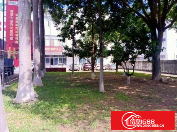 福永原房东独院厂房共13000平，超大空地