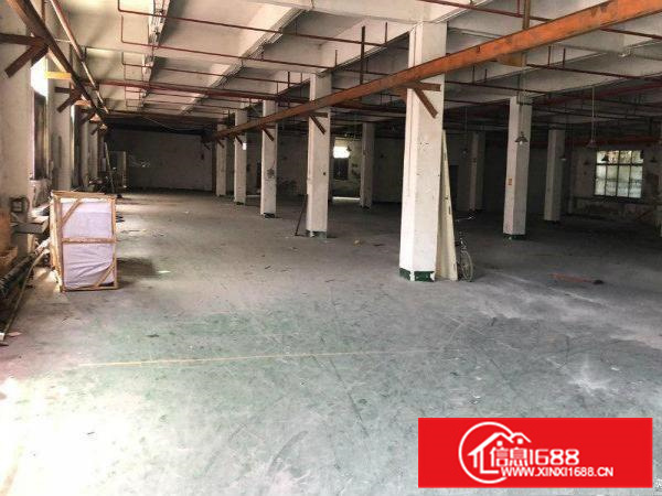 秋长新塘标准一楼1000平米带小行车出租