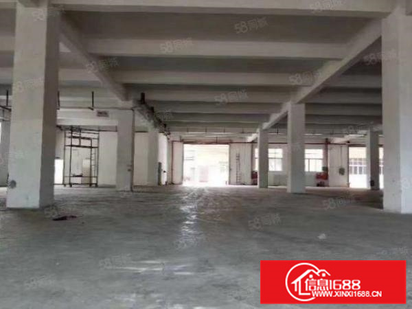 独门独院标准楼层900方，电380K3吨电梯可分租！