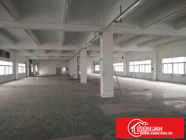 坪山大工业区2层2800平米，精装修无转让费可分租