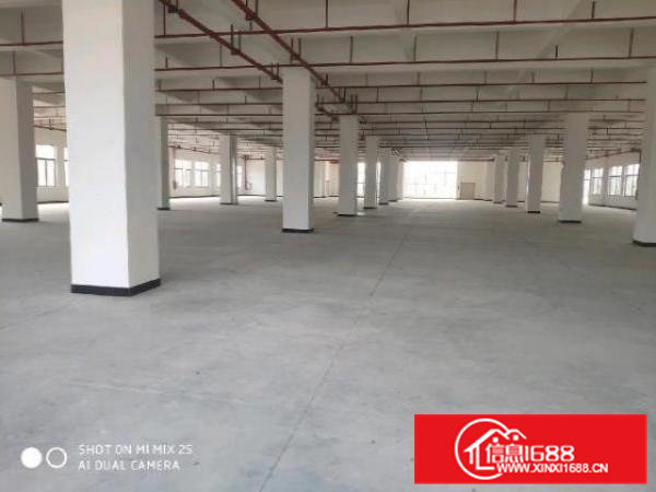 原房东独门独院标准厂房