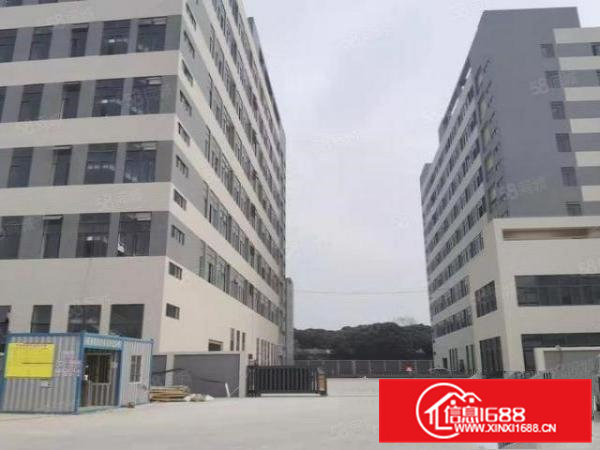 大岭山镇1楼1000平全新重工厂房出租，7米带牛角位超大空地