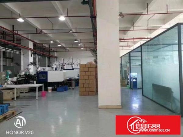 原房东！高速旁，南栅豪华装修一楼1300平，6米高。价格实惠