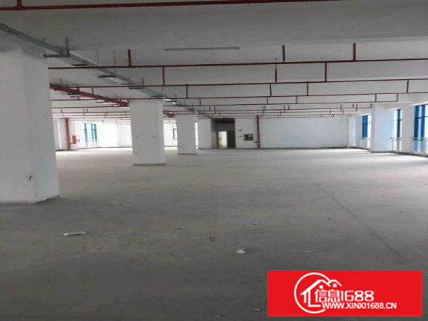 龙岗南联大型工业园3000平带装修厂房出租可分租