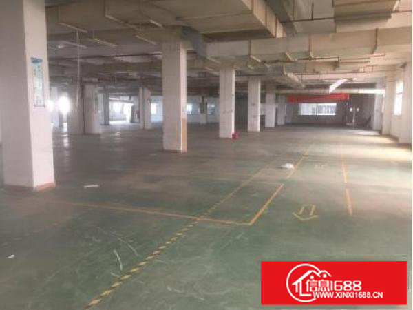 凤岗油甘埔数码产业园一二楼8200平方米招租、可分