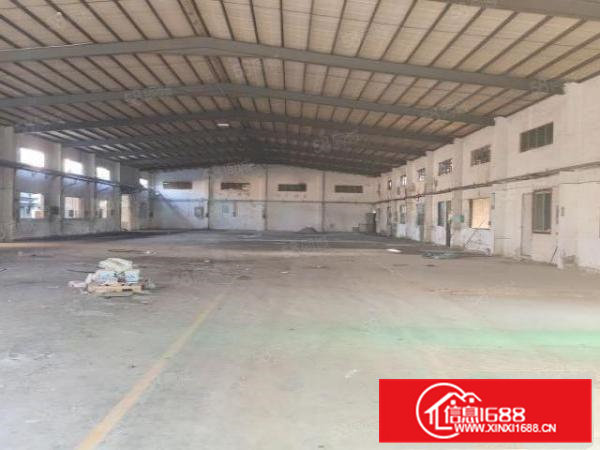 大朗镇原房东小独院单一层4300平，滴水7米，可办环评！