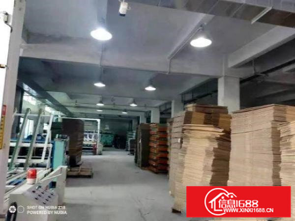 出租凤岗金凤凰工业区