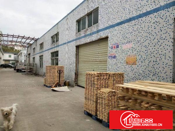 龙岗大道旁钢构一楼1150平高度7米，有隔热空地大