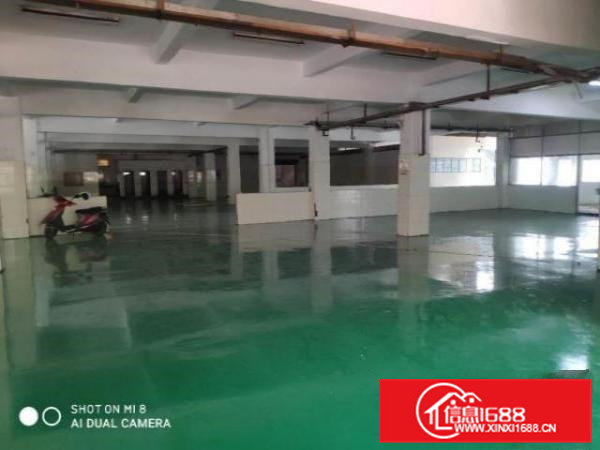 1300平方标准一楼出租，可分