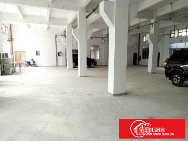 常平卢屋一楼原房东厂房900平带牛角出租