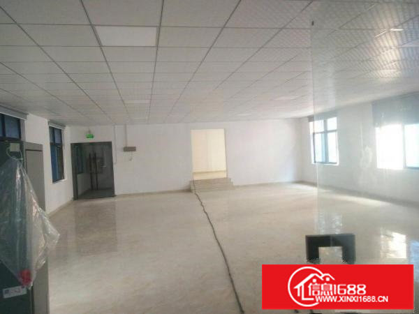 大浪浪口新出落上办公室装修厂房300平，可随时看房