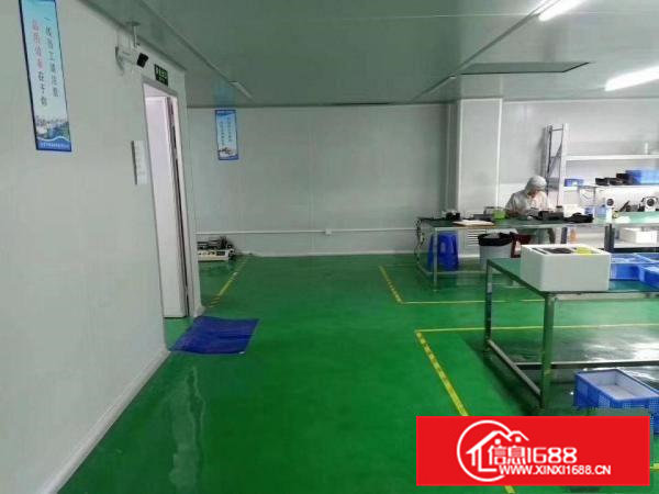 口罩客户电子客户的福音！高标准千级无尘车间1500平。