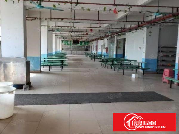 长安沙头村建安路800平米办公仓库厂房业主便宜直租