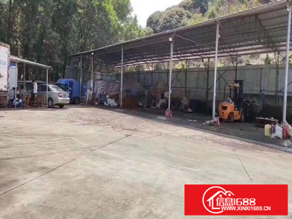 原房东钢构独院厂房(适合做任何行业)