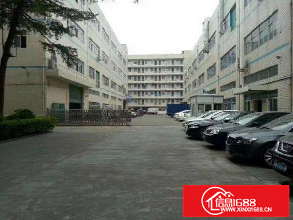 新坪山碧岭带精装修原房东无公摊低价出租k