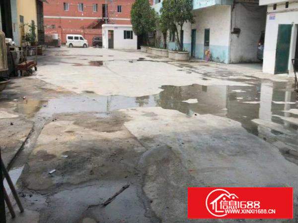 田心全新8米高钢构厂房，可分租