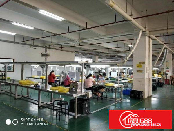 龙岗爱联地铁站旁独院厂房出租3000平有装修地坪漆可分租