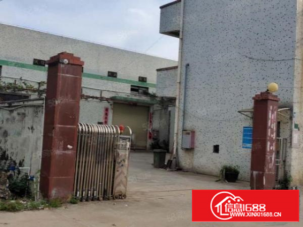 寮步镇塘边村1500平独院单一层砖墙到顶铁皮顶厂房出租高7米