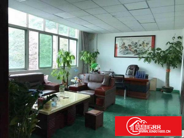 龙华大浪厂房300平600平900平1200招租