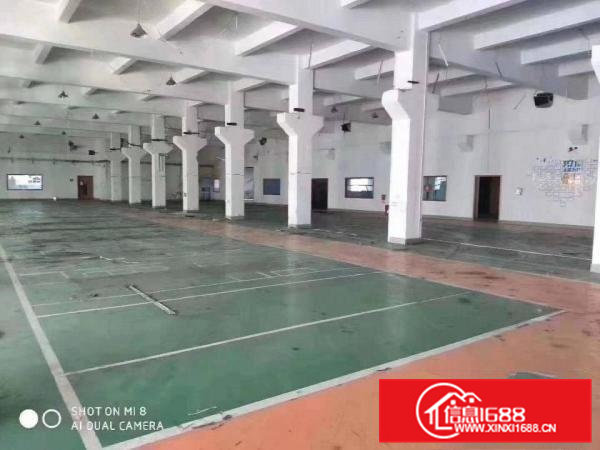 清溪浮岗新出6米高一楼1200平方带装修急租