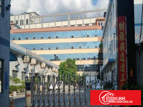 企石原房东全新标准厂房有voc排放指标厂房