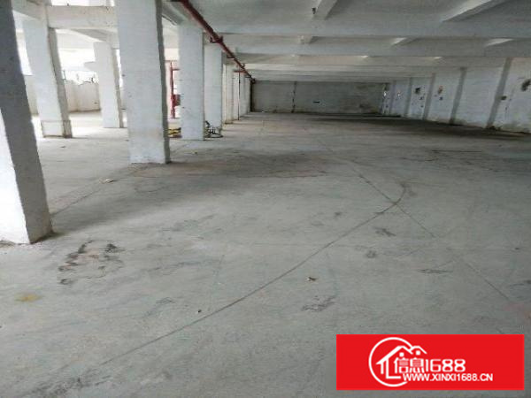 平湖平湖华南城一楼楼上厂房出厂房800平米