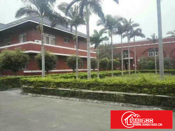 清溪荔横钢构厂房10000平滴水10米带隔热层精装