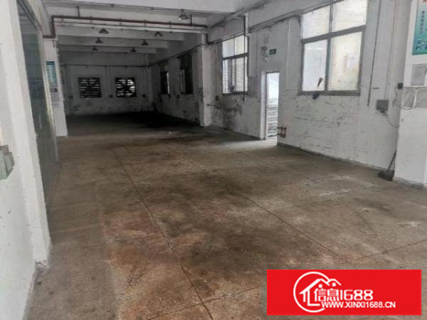 沙浦围稀缺一楼小面积厂房