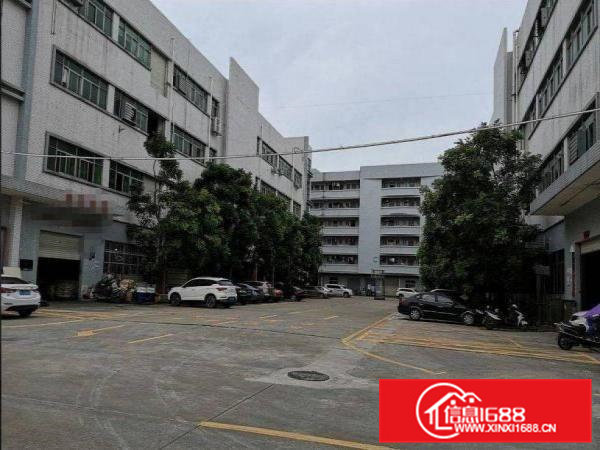 南社独院标准3楼300平厂房出租停车位充足