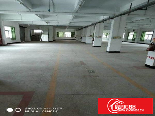 (红本厂房)1800平秋长新出工业园红本厂房