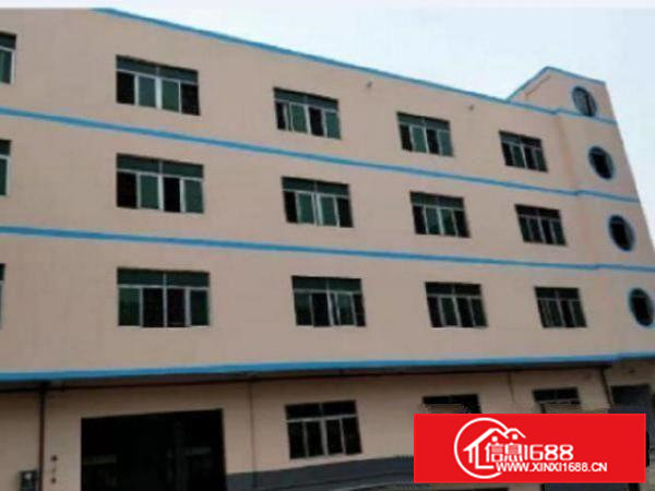 高埗独院标准6000平方一楼1800方报价20元