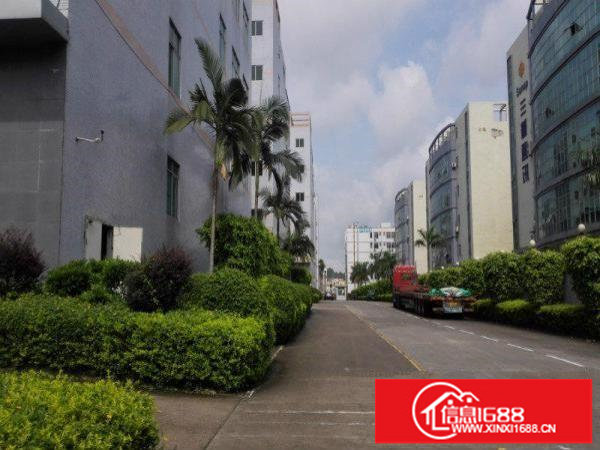 观澜松元环观中路国道边上二楼4300平方厂房带装修