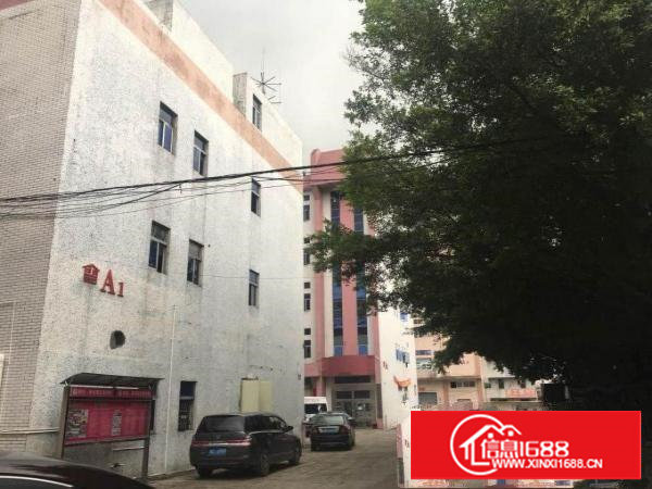 蛟乙塘1300平方米标准5楼厂房，临沙湖/清湖头/大坪高速等