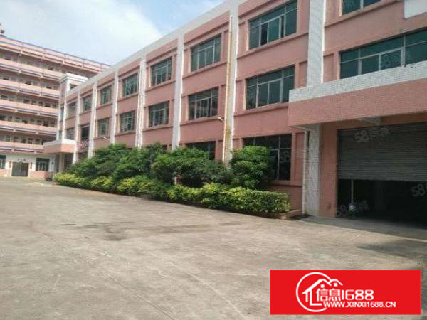 寮步石龙坑原房东一楼18元出租600平方