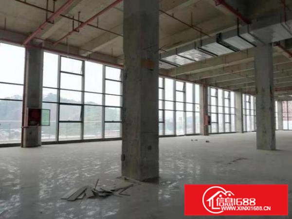 凤岗爱车总动员3000平可分租可电商厂房仓储带装修