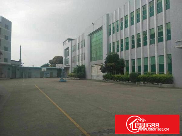 桥头镇新出标准三层独院厂房