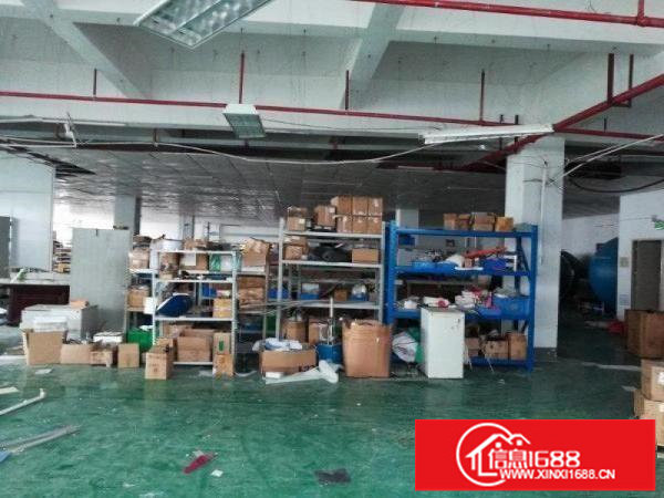 坂田上雪科技园带装修200~2000平，适合电商外贸电子等