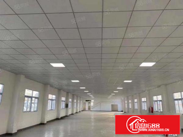 锦厦新出精装修四楼800平