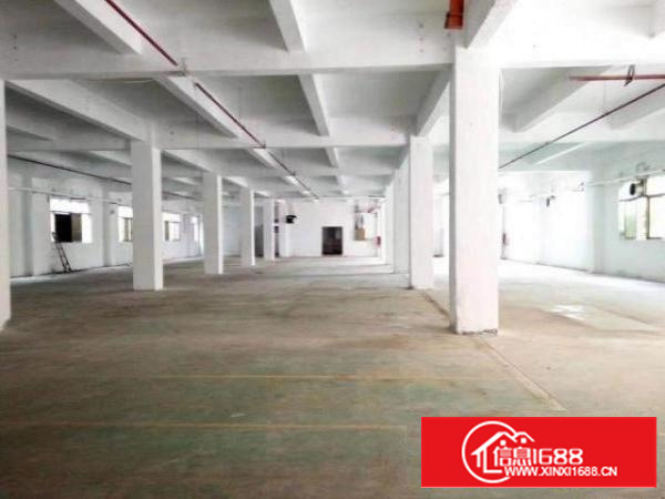 万江简沙洲标准楼上2000平方招租厂区空地大，形象大气