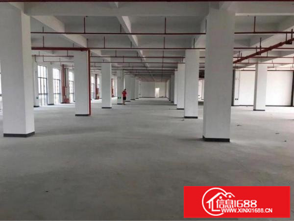 坪地低碳城2800平米精装修厂房出租可分租