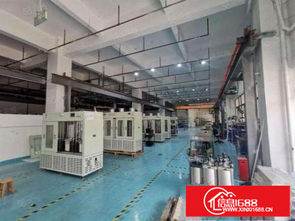 塘厦凤凰岗新出一楼1450平米，精装修厂房出租，随时可入驻