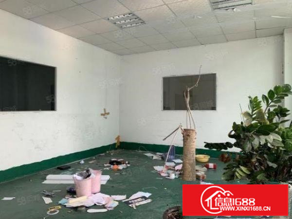 观澜大水坑原房东厂房楼上270带装修证件齐全面积实在