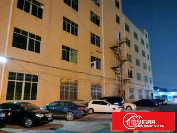 独门独院花园式厂房重磅来袭