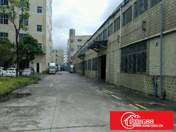 龙岗龙东同乐交接处原房东厂房2000平可做生产出租