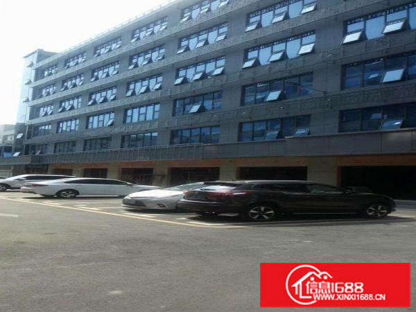 布吉丹竹头地铁站新出全新带装修厂房