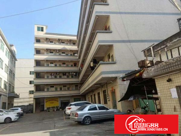 虎门树田新出2楼带装修700平方厂房出租