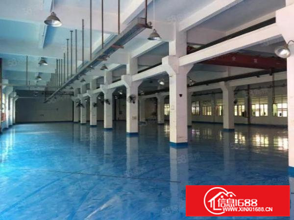 横沥镇三江工业区新出原房东独院厂房4000平方