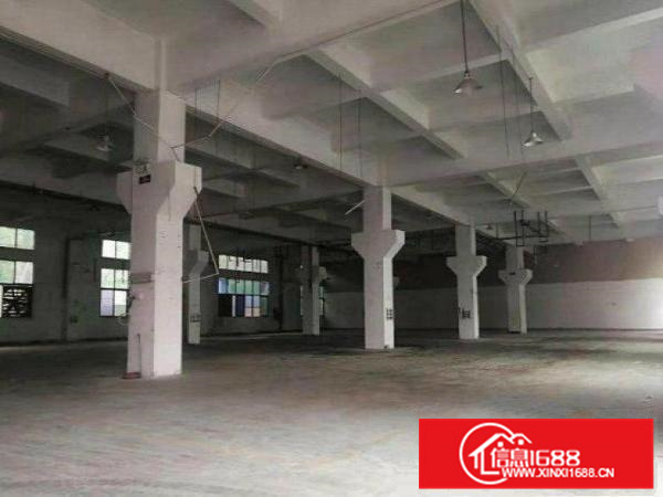 惠阳新墟优质工业厂房出租1500平可分租8成新带牛角